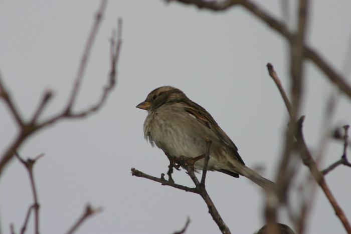 Bord du lac Clarens - 072